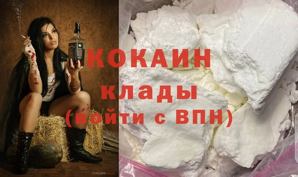 соль ск Алексин